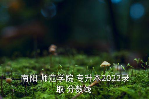  南陽 師范學(xué)院 專升本2022錄取 分數(shù)線