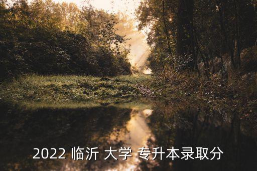 2022 臨沂 大學(xué) 專升本錄取分