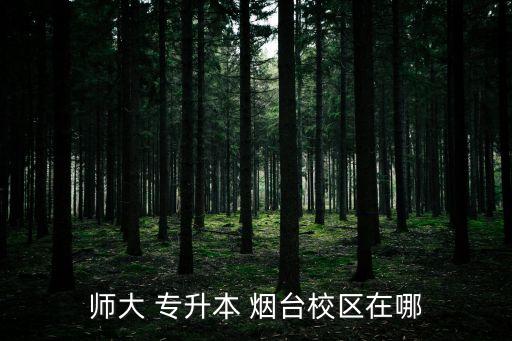 師大 專升本 煙臺校區(qū)在哪