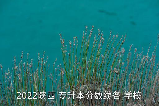 2022陜西 專升本分?jǐn)?shù)線各 學(xué)校