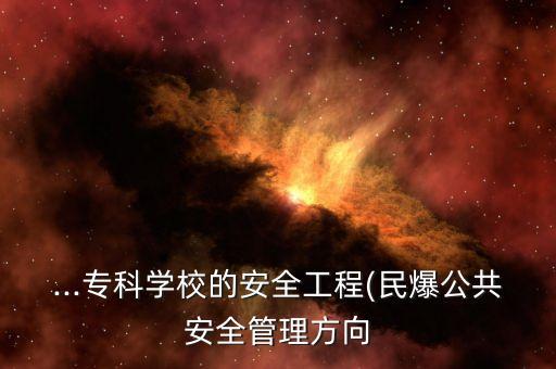 ...專科學校的安全工程(民爆公共安全管理方向