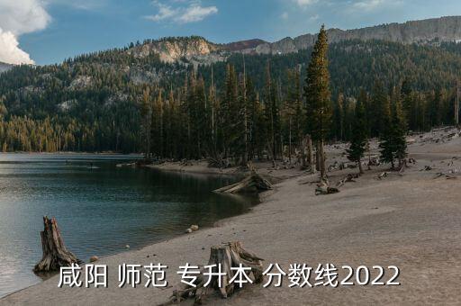 咸陽 師范 專升本 分?jǐn)?shù)線2022