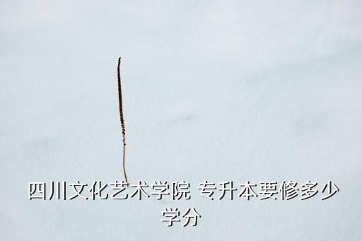  四川文化藝術(shù)學(xué)院 專升本要修多少學(xué)分