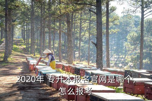 2020年 專升本報(bào)名官網(wǎng)是哪個(gè),怎么報(bào)考