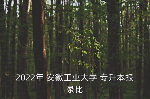 2022年 安徽工業(yè)大學 專升本報錄比