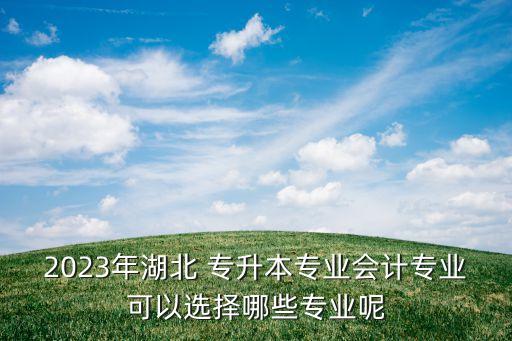 2023年湖北 專升本專業(yè)會(huì)計(jì)專業(yè)可以選擇哪些專業(yè)呢