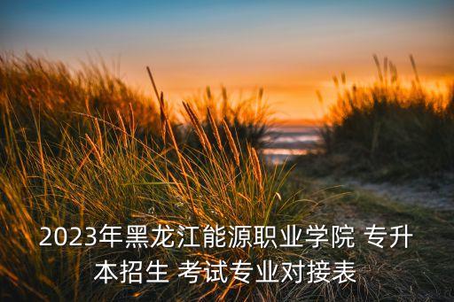 2023年黑龍江能源職業(yè)學院 專升本招生 考試專業(yè)對接表