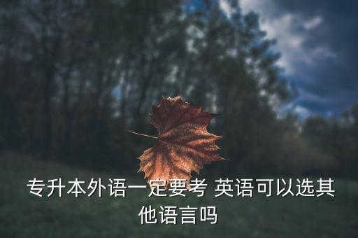 日語(yǔ)跨英語(yǔ)專(zhuān)升本,專(zhuān)升本可以考日語(yǔ)不考英語(yǔ)么