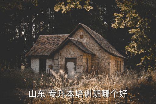 山東 專升本培訓(xùn)班哪個好