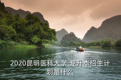 2020昆明醫(yī)科大學(xué) 專(zhuān)升本招生計(jì)劃是什么