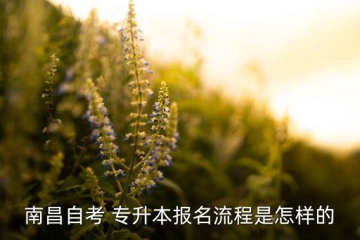 江西如何報專升本,江西專升本是先報學(xué)校還是先考試