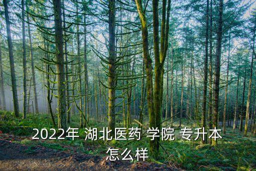 2022年 湖北醫(yī)藥 學院 專升本怎么樣