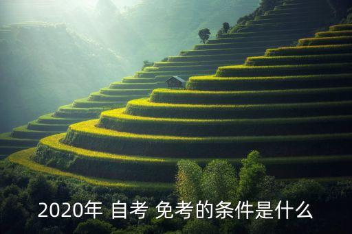 2020年 自考 免考的條件是什么