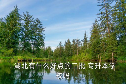 . 湖北有什么好點(diǎn)的二批 專升本學(xué)校嗎