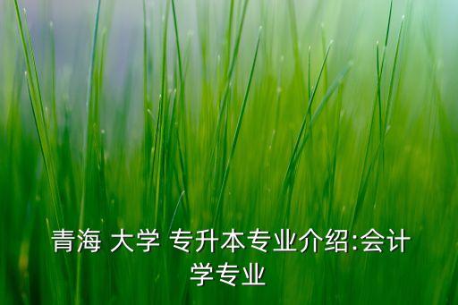  青海 大學(xué) 專升本專業(yè)介紹:會(huì)計(jì)學(xué)專業(yè)