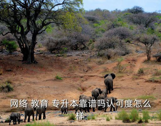 網絡 教育 專升本靠譜嗎認可度怎么樣