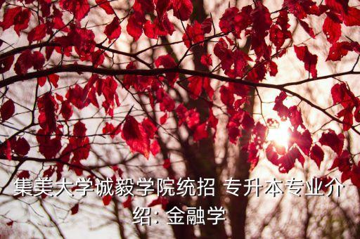 集美大學(xué)誠毅學(xué)院統(tǒng)招 專升本專業(yè)介紹: 金融學(xué)