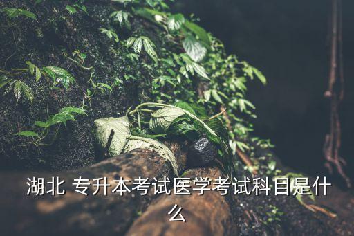  湖北 專升本考試醫(yī)學(xué)考試科目是什么