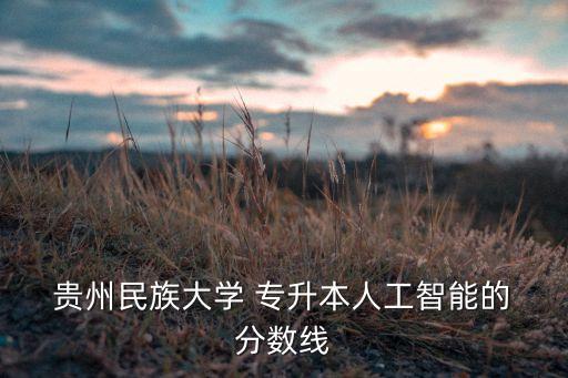  貴州民族大學(xué) 專升本人工智能的 分?jǐn)?shù)線