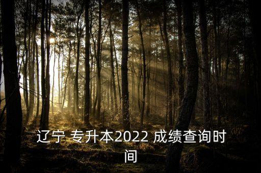  遼寧 專升本2022 成績(jī)查詢時(shí)間