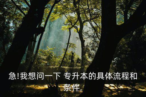 急!我想問一下 專升本的具體流程和條件.