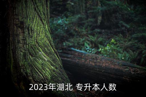 2023年湖北 專升本人數(shù)