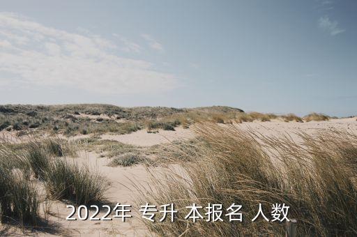 2022年 專升 本報名 人數(shù)