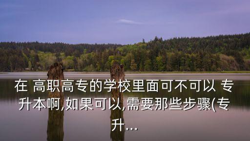 在 高職高專的學(xué)校里面可不可以 專升本啊,如果可以,需要那些步驟(專升...