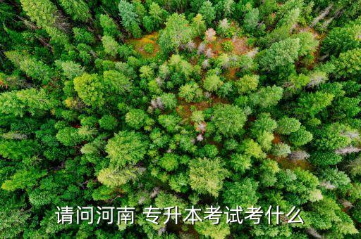 專升本英語(yǔ) 完形填空,2020年專升本英語(yǔ)完形填空