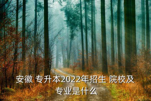 安徽 專升本2022年招生 院校及 專業(yè)是什么