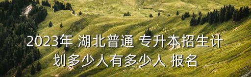 2023年 湖北普通 專升本招生計(jì)劃多少人有多少人 報(bào)名