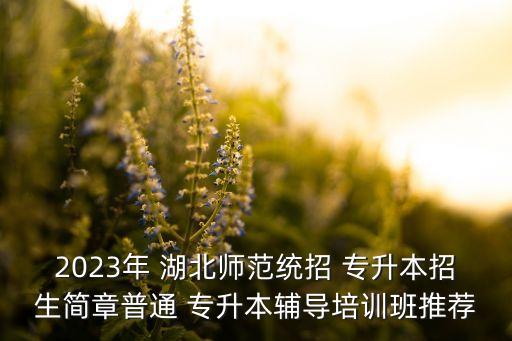 2023年 湖北師范統(tǒng)招 專升本招生簡章普通 專升本輔導(dǎo)培訓(xùn)班推薦