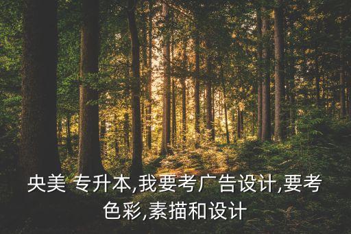 央美 專升本,我要考廣告設(shè)計,要考色彩,素描和設(shè)計