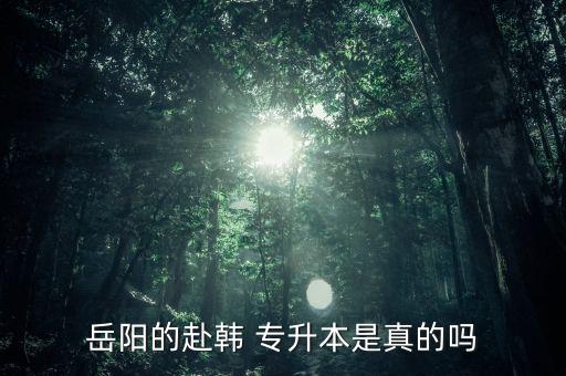 岳陽(yáng)的赴韓 專升本是真的嗎