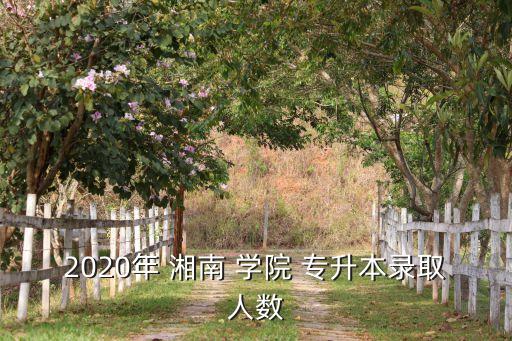 2020年 湘南 學(xué)院 專升本錄取人數(shù)