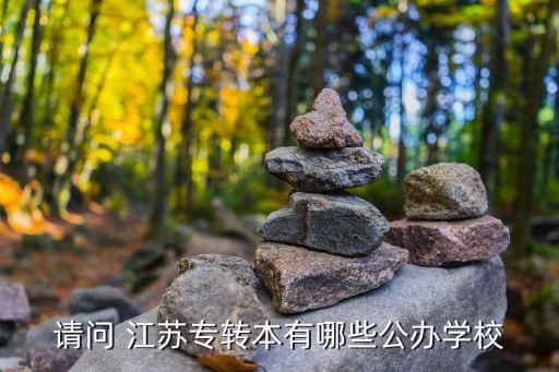 請(qǐng)問 江蘇專轉(zhuǎn)本有哪些公辦學(xué)校