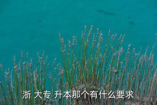 浙大專升本可以網(wǎng)上報(bào)名么,成人教育專升本網(wǎng)上報(bào)名