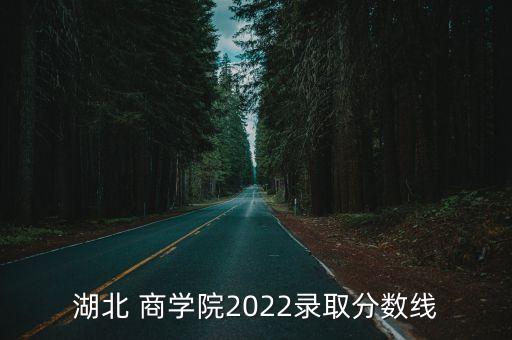 湖北 商學院2022錄取分數(shù)線