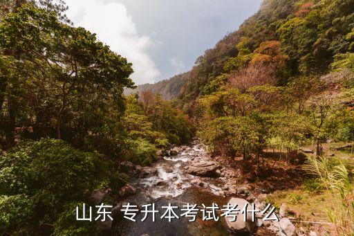 2013專升本山東大學(xué)語(yǔ)文復(fù)習(xí)資料