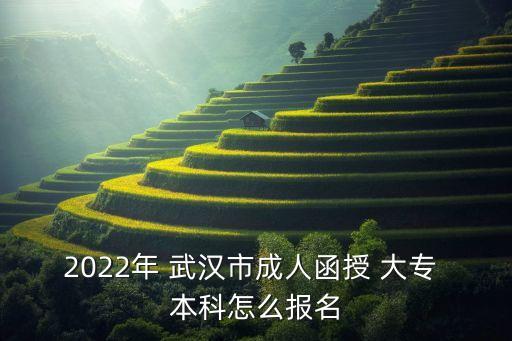 2022年 武漢市成人函授 大專 本科怎么報名