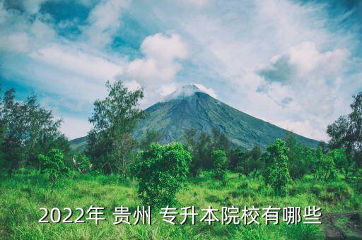 貴州醫(yī)專可以專升本嗎,黔南醫(yī)?？梢詫Ｉ镜劫F州的哪些學校?