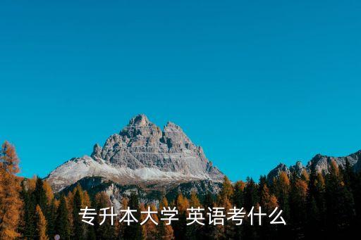  專升本大學(xué) 英語考什么