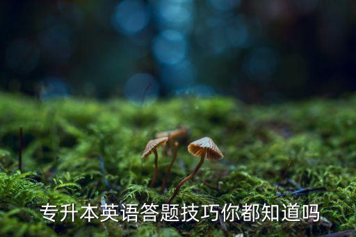  專升本英語(yǔ)答題技巧你都知道嗎