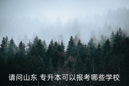 請問山東 專升本可以報考哪些學校