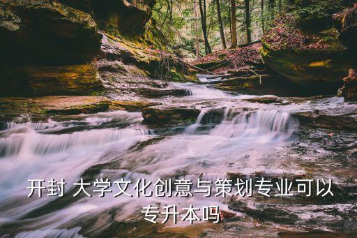  開封 大學(xué)文化創(chuàng)意與策劃專業(yè)可以 專升本嗎