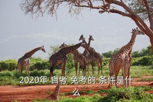 2020年 自考 免考的 條件是什么