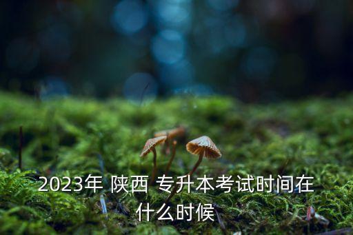 2023年 陜西 專升本考試時間在什么時候