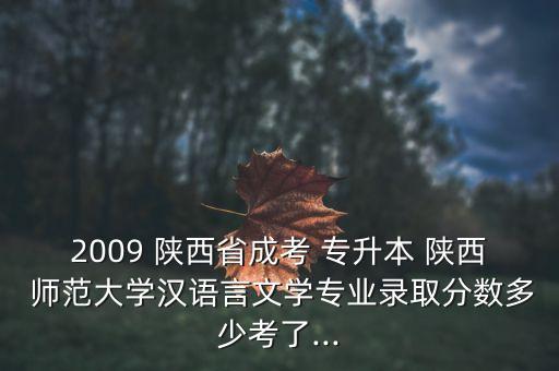 2009 陜西省成考 專升本 陜西 師范大學(xué)漢語言文學(xué)專業(yè)錄取分?jǐn)?shù)多少考了...