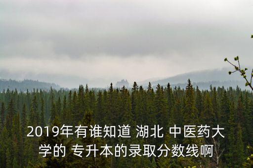 2019年有誰知道 湖北 中醫(yī)藥大學(xué)的 專升本的錄取分?jǐn)?shù)線啊