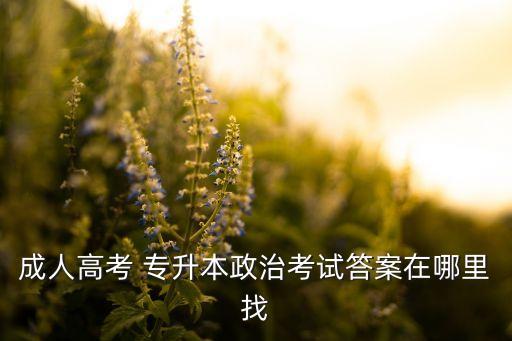 成人高考 專升本政治考試答案在哪里找